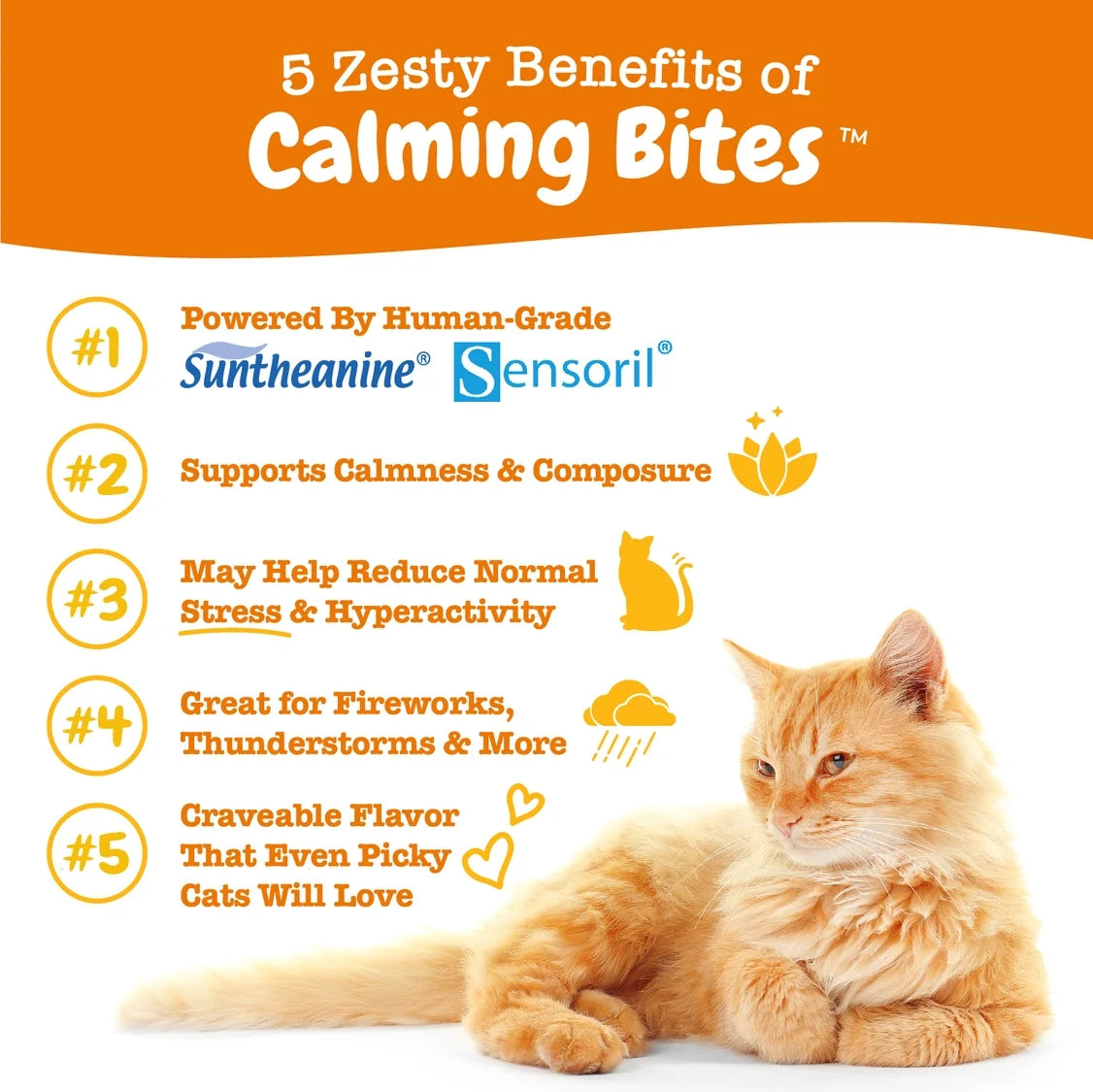 (3 Pack)  Calming Bites for Cats, Stress & Anxiety Relief Supplement, Bacon Flavor, 30 Ct
