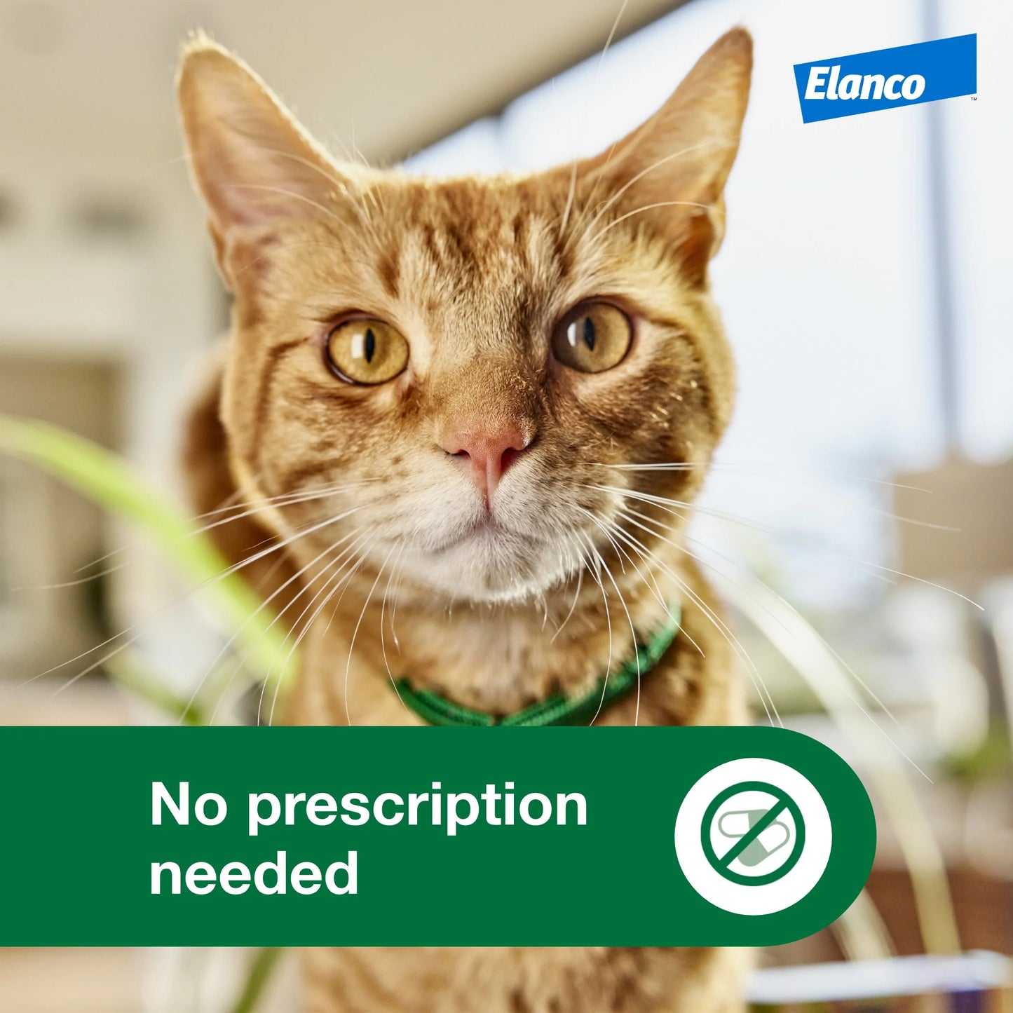 Small Cat 2-Month Flea Prevention for Cats 1.8-9Lbs, 1 Dose (2-Months)