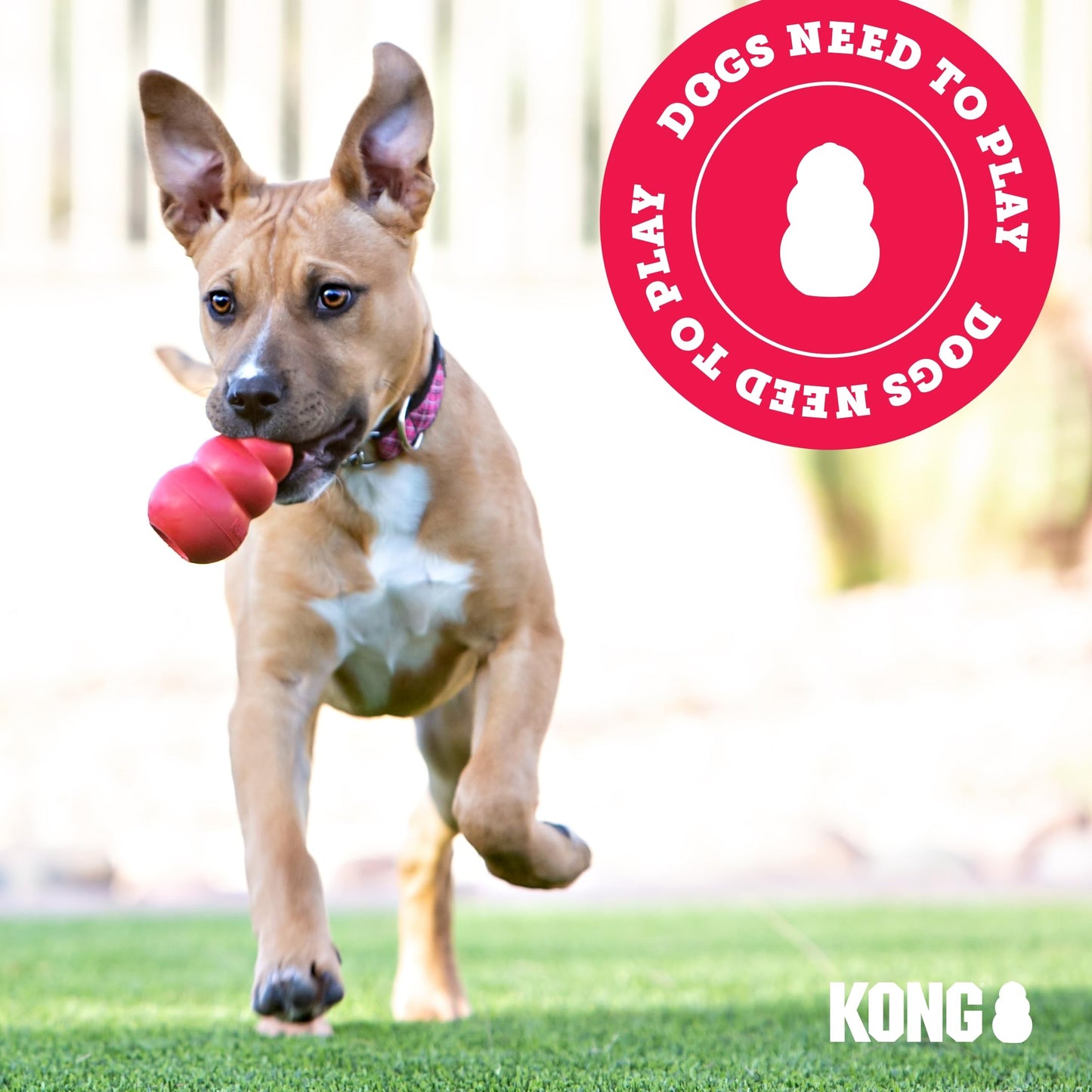 KONG Dental Stick for Dog Dental Care - Stuffable Chew Toy - Provides Chewing Outlet & Satisfies Instinctual Needs - Cleans Teeth & Gums - Made with Durable Natural Rubber - for Medium Dogs