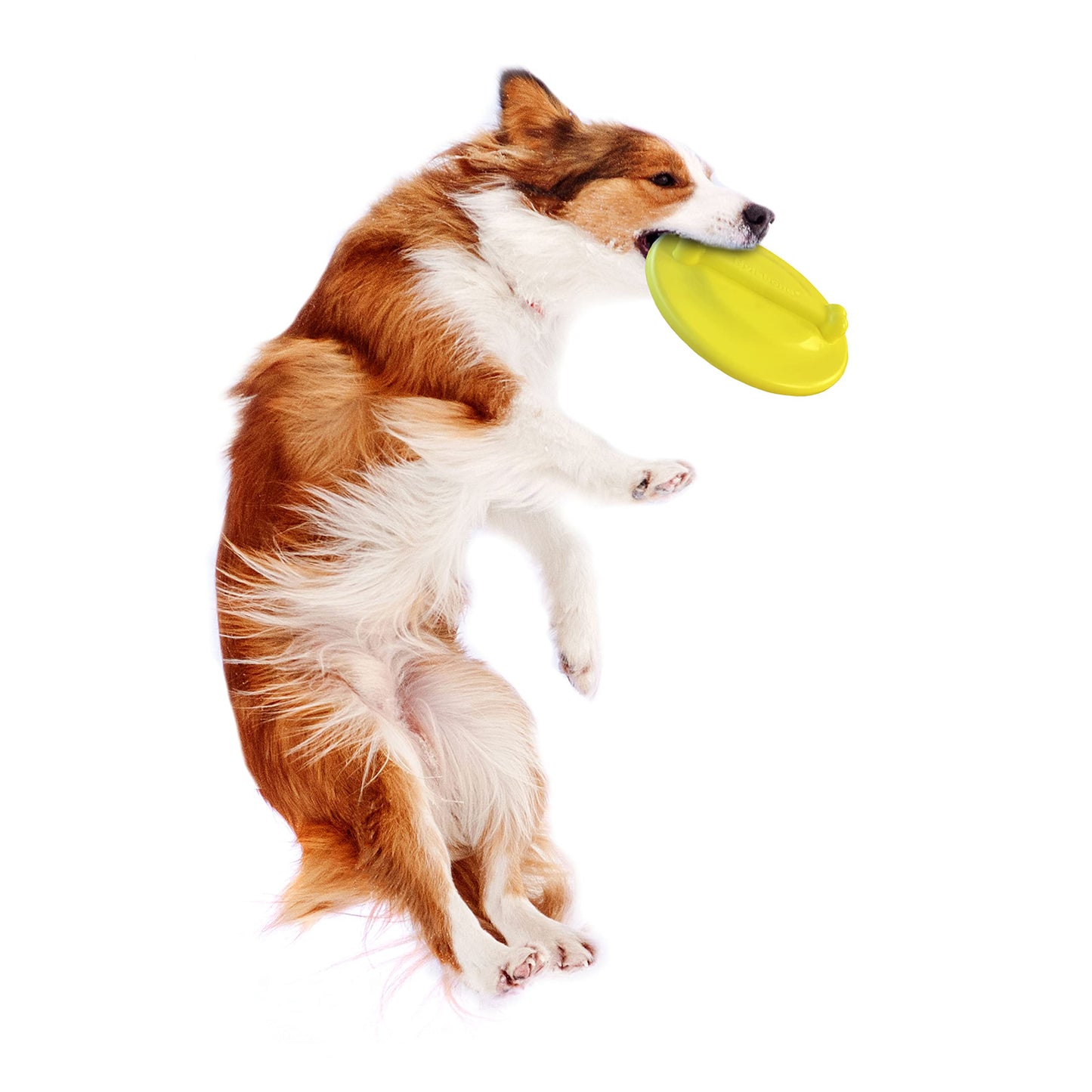 Nylabone Power Play Crazy Ball Interactive Play Toy, Fetch Ball Toy for Dogs, Large (1 Count)