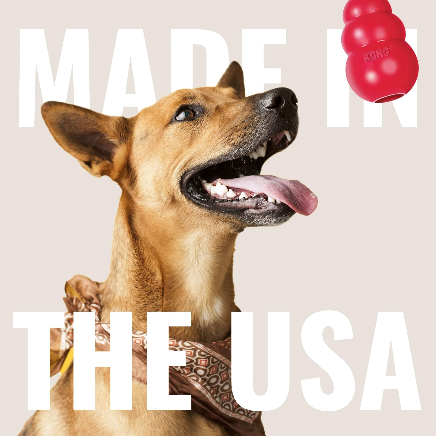 KONG Dental Stick for Dog Dental Care - Stuffable Chew Toy - Provides Chewing Outlet & Satisfies Instinctual Needs - Cleans Teeth & Gums - Made with Durable Natural Rubber - for Medium Dogs