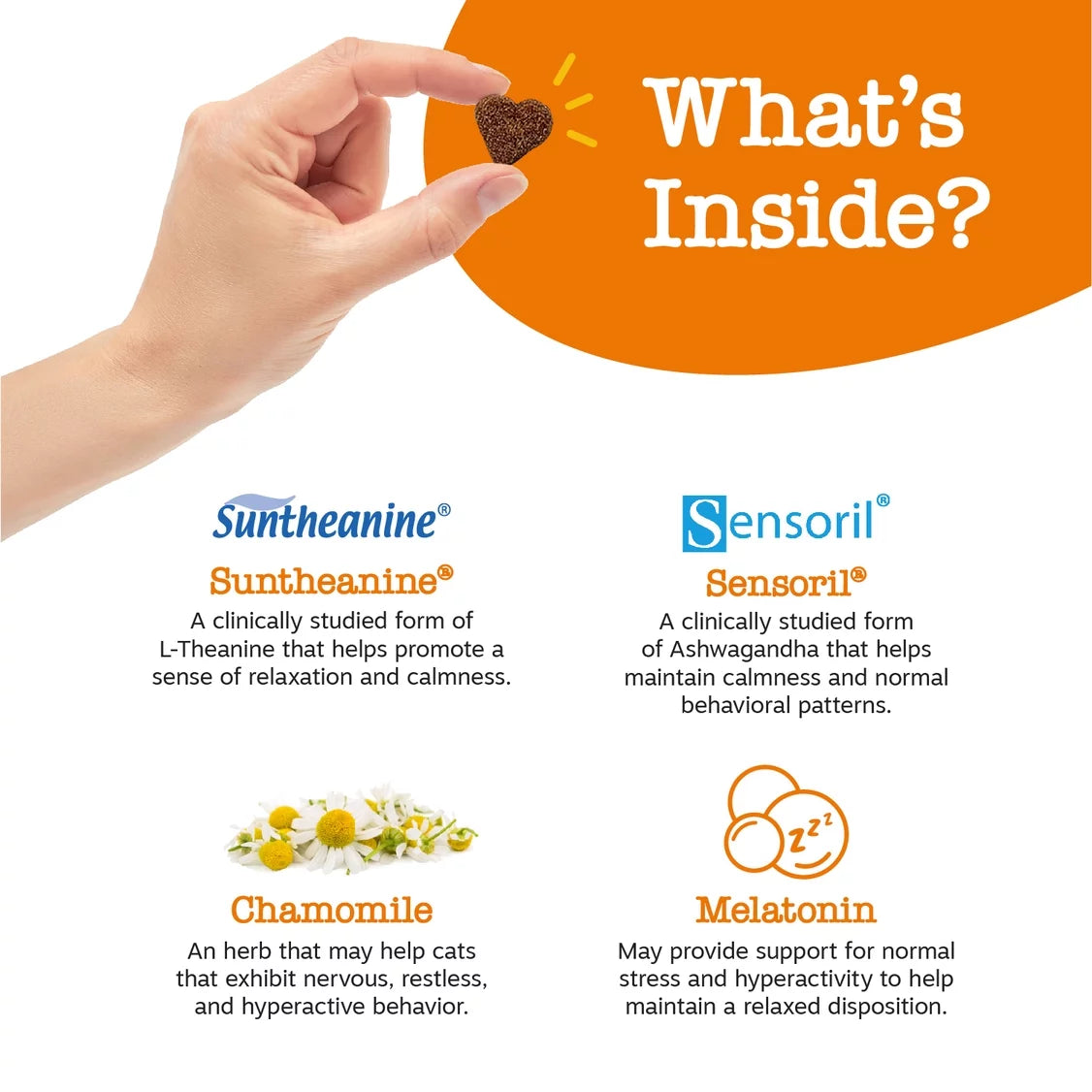 (3 Pack)  Calming Bites for Cats, Stress & Anxiety Relief Supplement, Bacon Flavor, 30 Ct