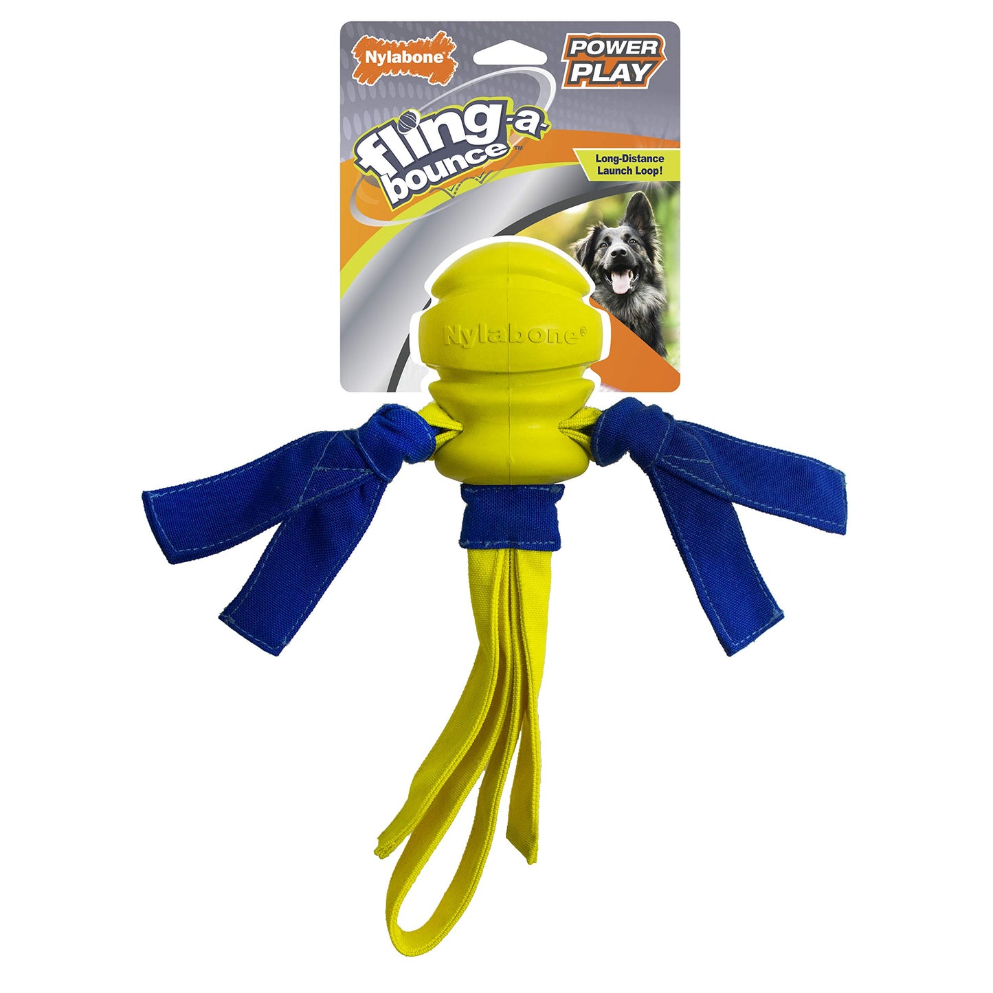 Nylabone Power Play Crazy Ball Interactive Play Toy, Fetch Ball Toy for Dogs, Large (1 Count)