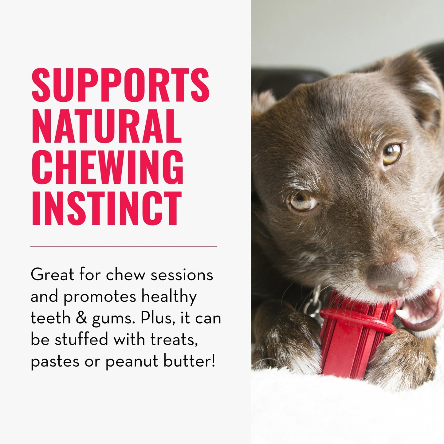 KONG Dental Stick for Dog Dental Care - Stuffable Chew Toy - Provides Chewing Outlet & Satisfies Instinctual Needs - Cleans Teeth & Gums - Made with Durable Natural Rubber - for Medium Dogs