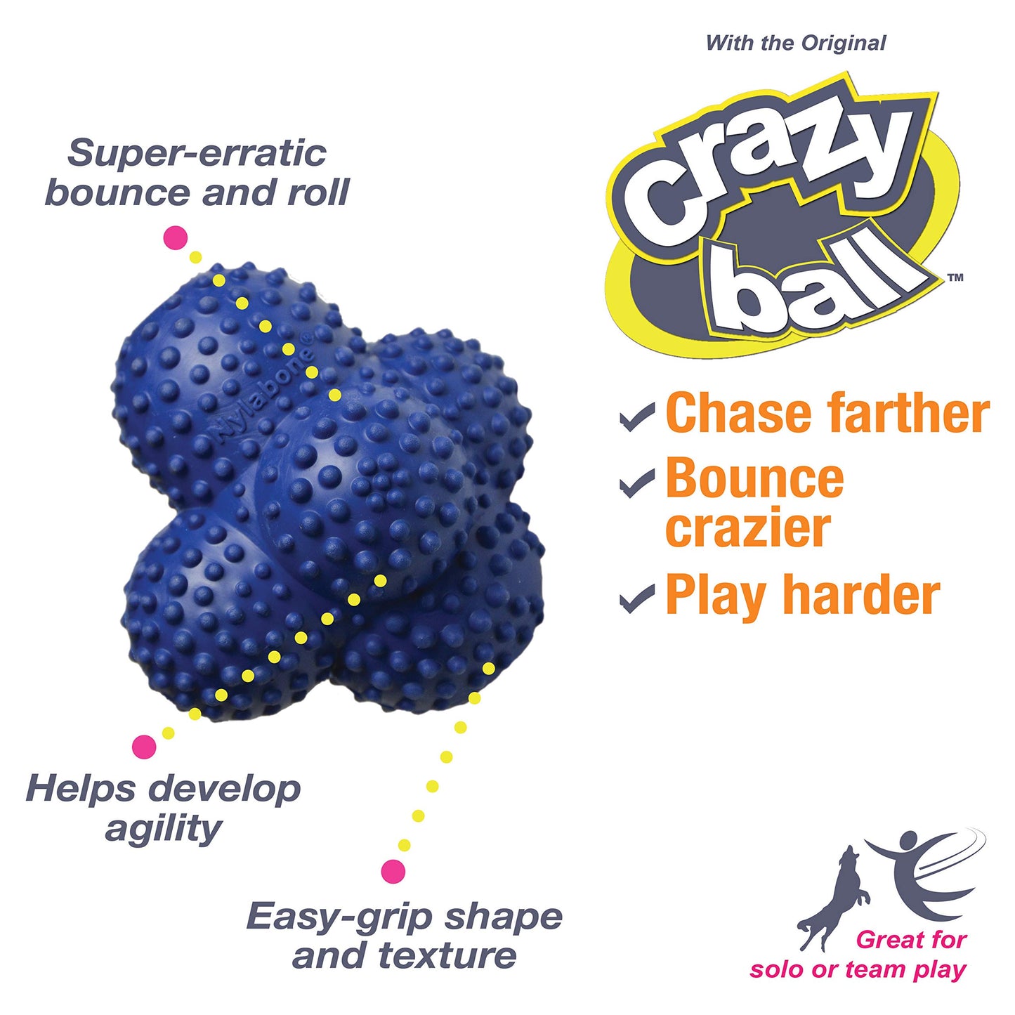 Nylabone Power Play Crazy Ball Interactive Play Toy, Fetch Ball Toy for Dogs, Large (1 Count)