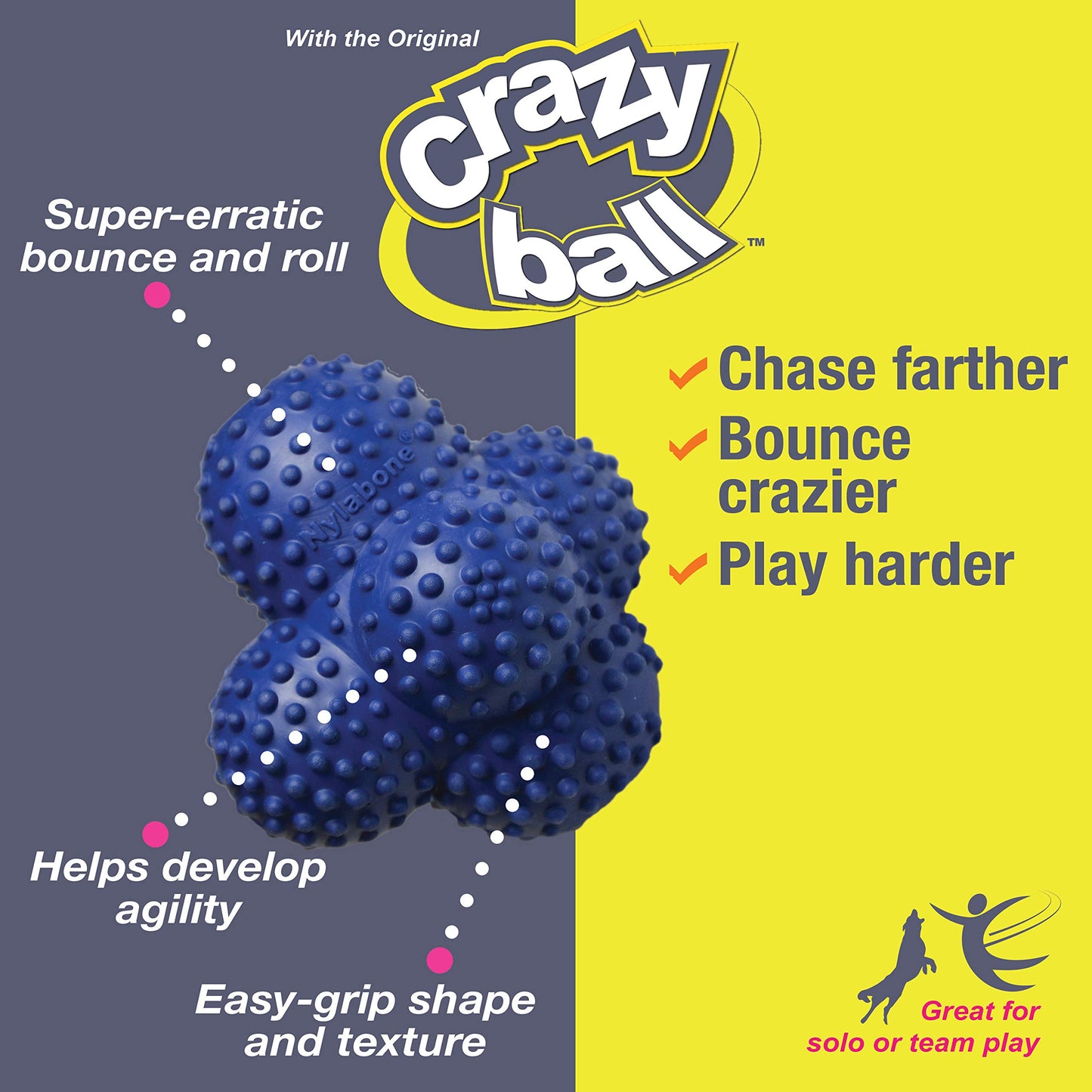 Nylabone Power Play Crazy Ball Interactive Play Toy, Fetch Ball Toy for Dogs, Large (1 Count)