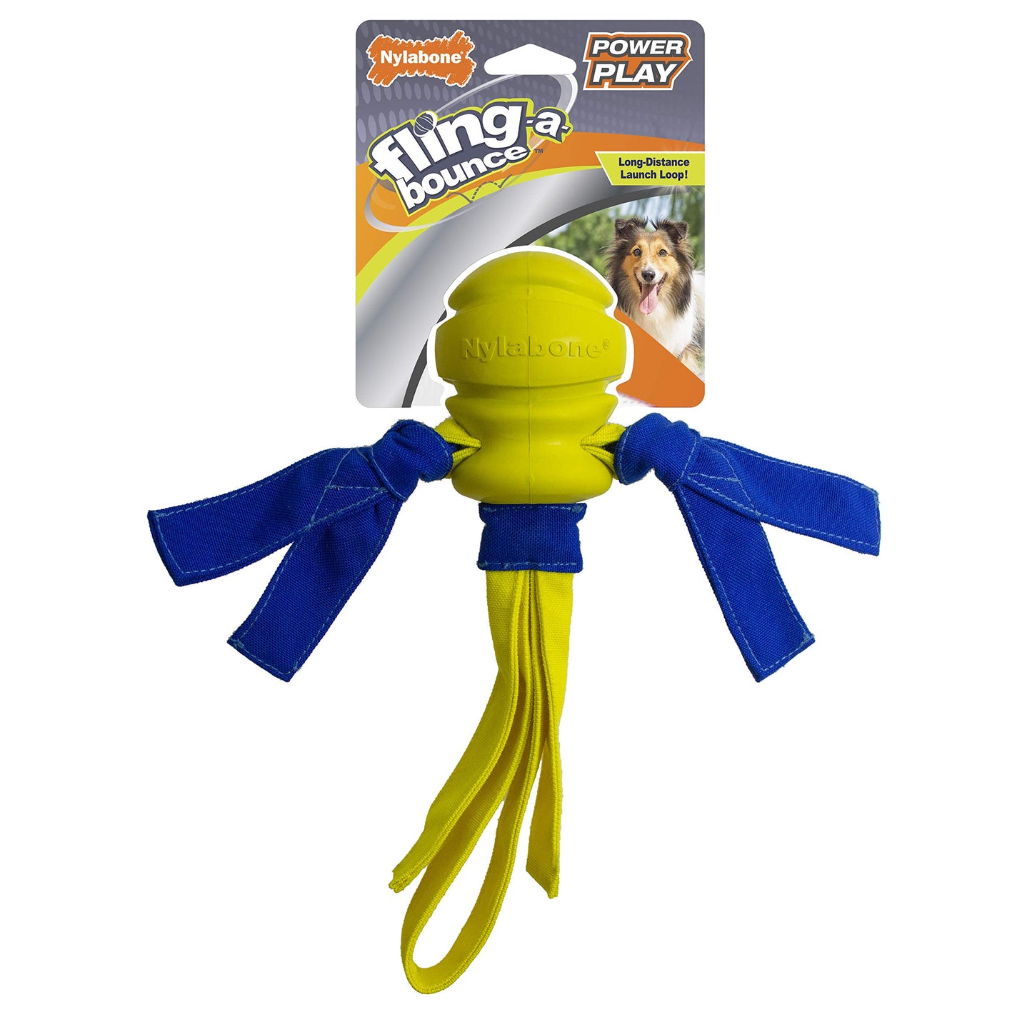 Nylabone Power Play Crazy Ball Interactive Play Toy, Fetch Ball Toy for Dogs, Large (1 Count)