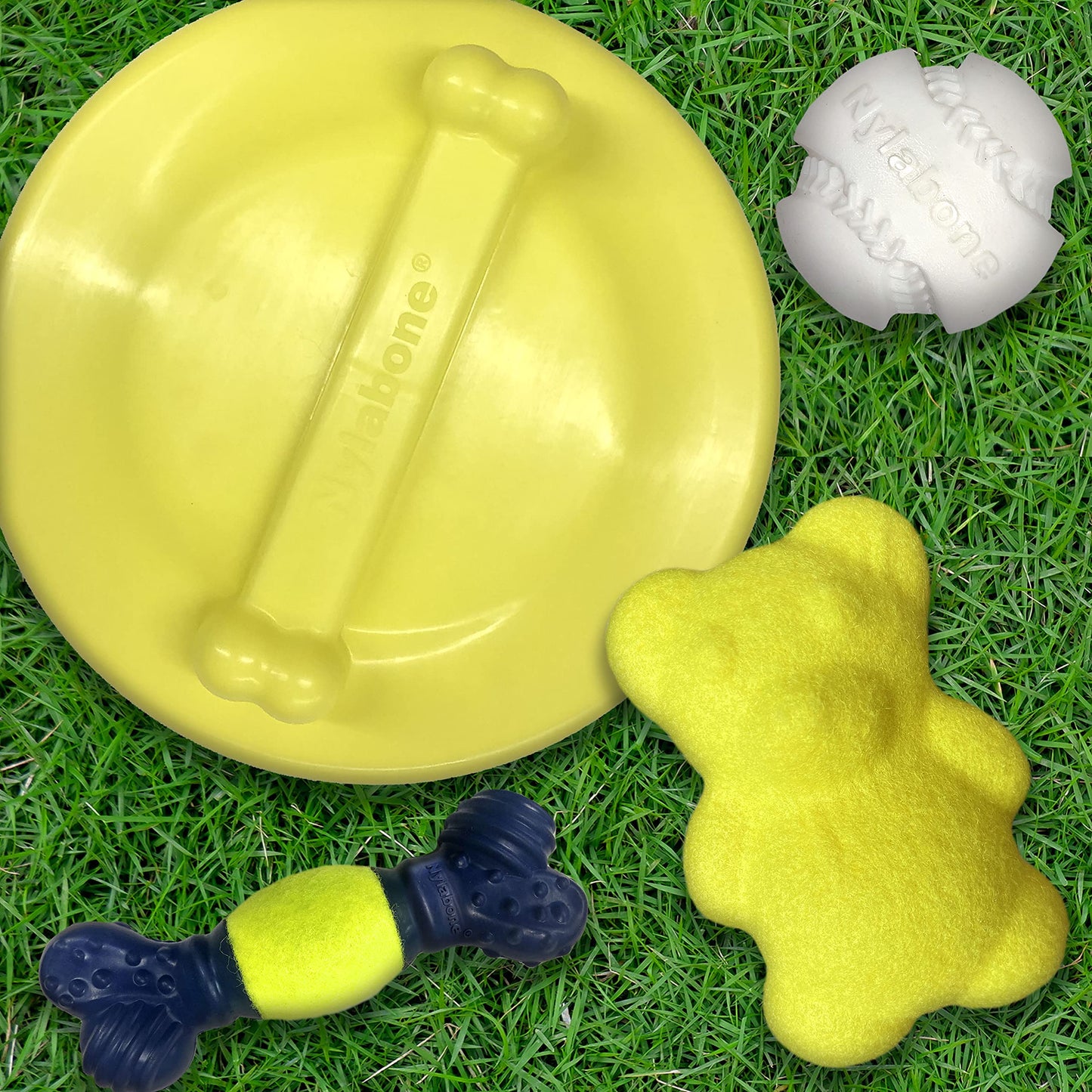 Nylabone Power Play Crazy Ball Interactive Play Toy, Fetch Ball Toy for Dogs, Large (1 Count)