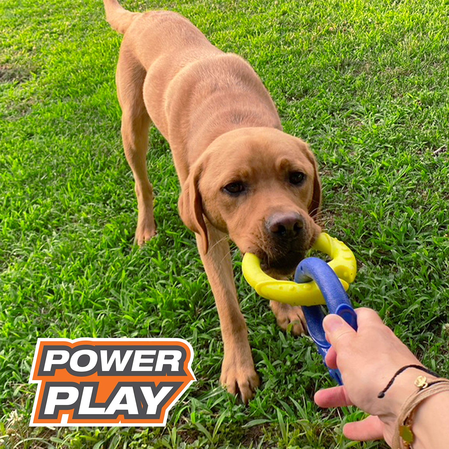 Nylabone Power Play Crazy Ball Interactive Play Toy, Fetch Ball Toy for Dogs, Large (1 Count)