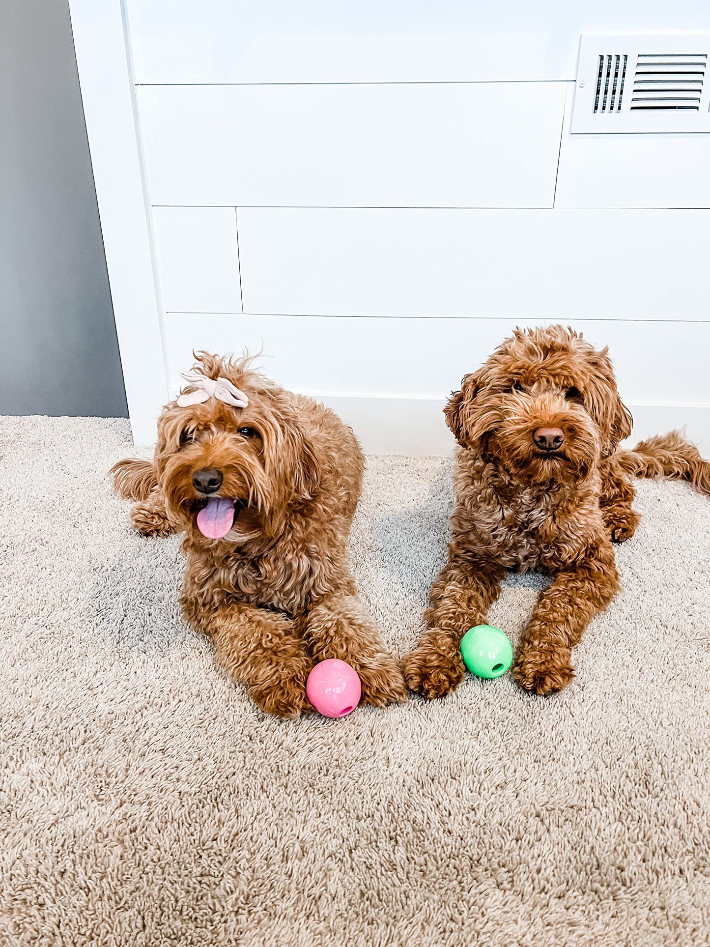 Nylabone Power Play Crazy Ball Interactive Play Toy, Fetch Ball Toy for Dogs, Large (1 Count)