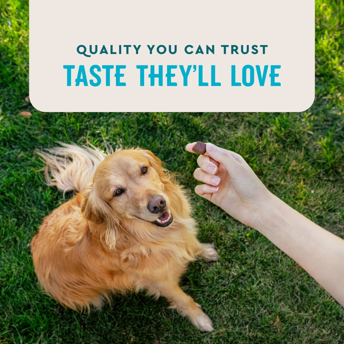 Hip & Joint Supplement for Dogs, Chicken Flavored Soft Chews, 7.4 Oz